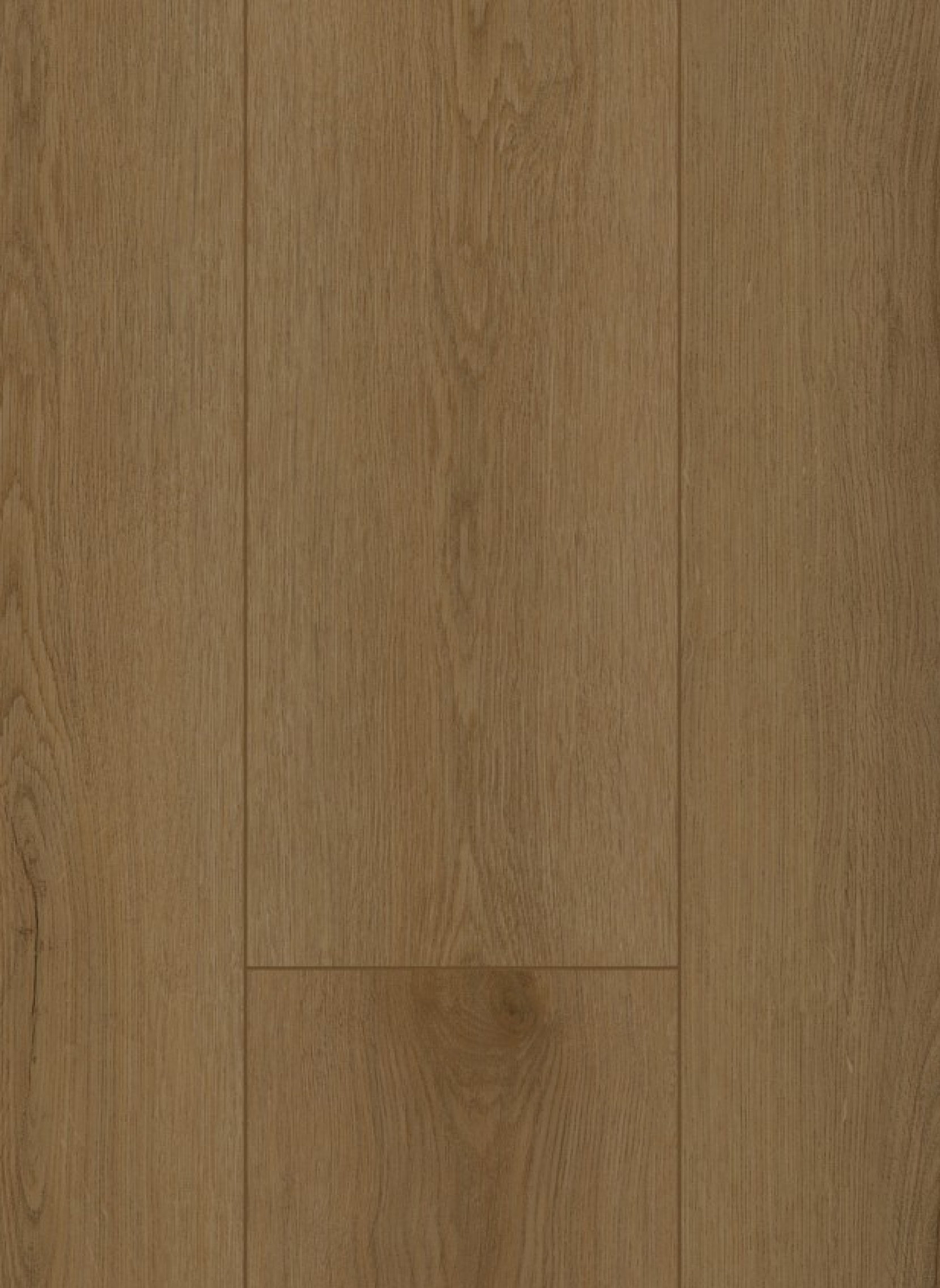 Firmfit Silent 7503 (rigid click)