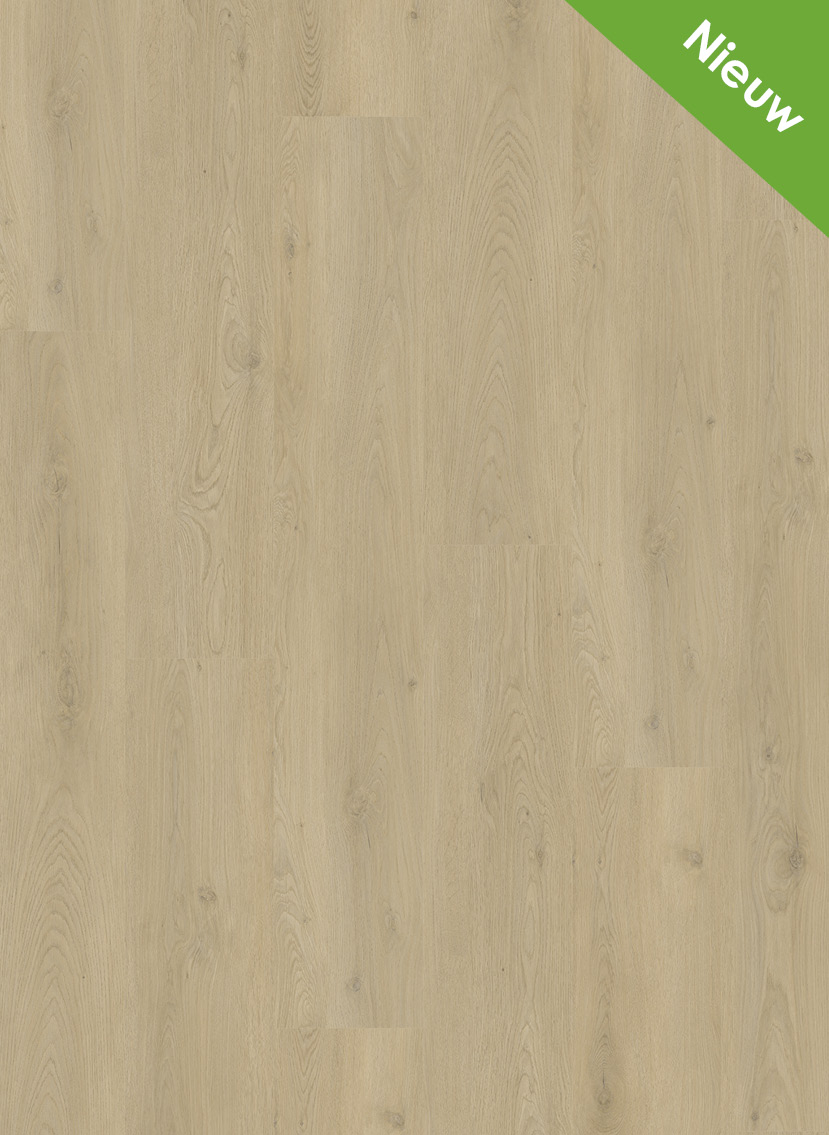 Mystiq 2802 (rigid click)